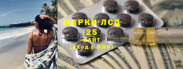 прущие грибы Алзамай