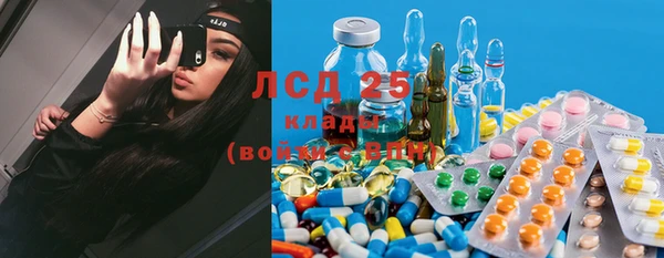 прущие грибы Алзамай