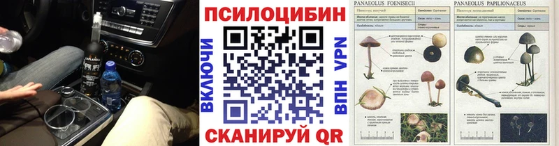 МЕГА зеркало  Коркино  Псилоцибиновые грибы мицелий 